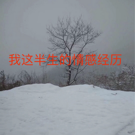 我这半生的情感经历