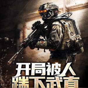 特种兵:开局被人踹下武直