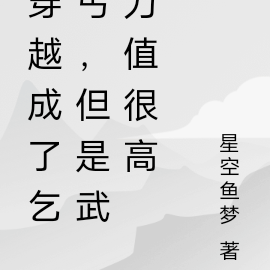 穿越成了乞丐，但是武力值很高