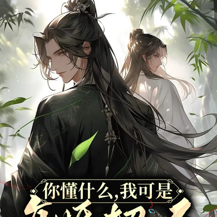 你懂什么,我可是复婚超人