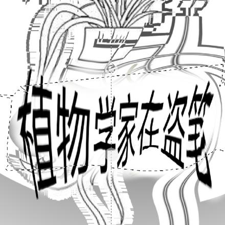 植物学家在盗笔