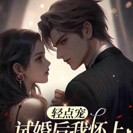 轻点宠,试婚后我怀上总裁继承人