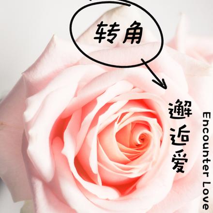 转角邂逅爱