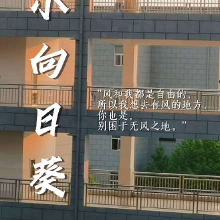 小向日葵