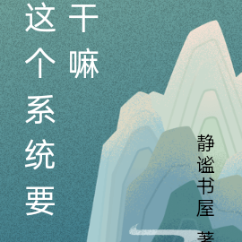 这个系统要干嘛