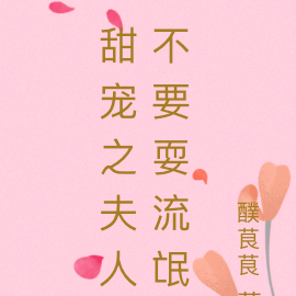 甜宠之夫人不要耍流氓