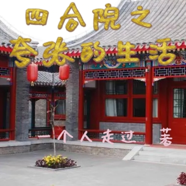 四合院之夸张的生活