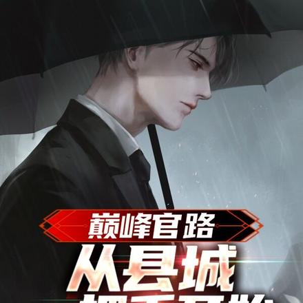 巅峰官路:从县城一把手开始