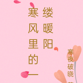 寒风里的一缕暖阳
