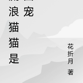 流浪猫猫是团宠