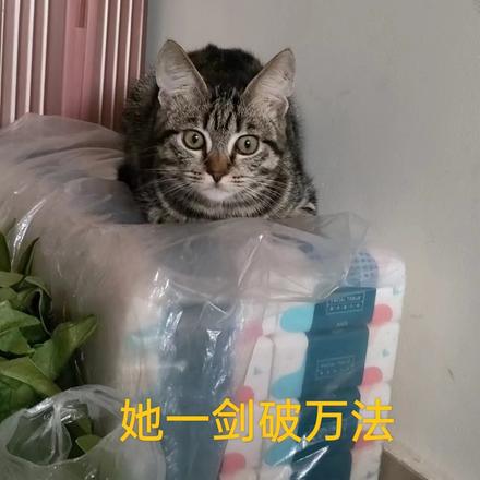 她一剑破万法
