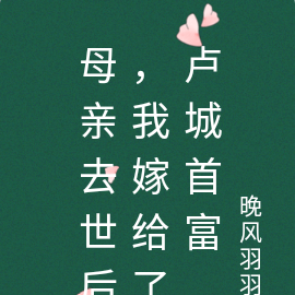 母亲去世后,我嫁给了卢城首富