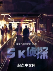 SK侦探