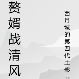 赘婿战清风