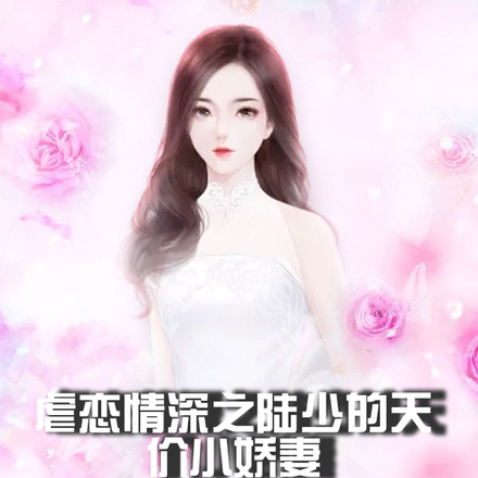 虐念情深之陆少的天价小娇妻