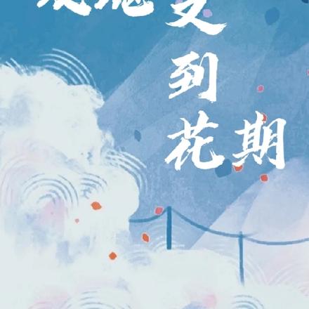 玫瑰又到花期