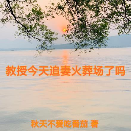 教授今天追妻火葬场了吗