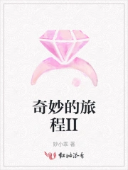 奇妙的旅程II