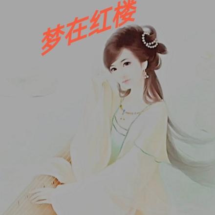 梦在红楼