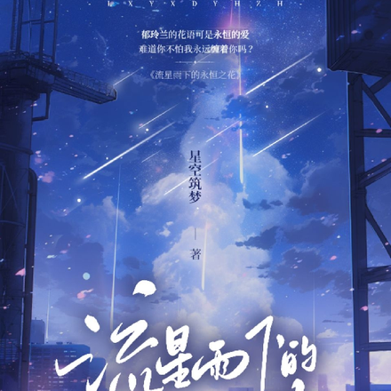 流星雨下的永恒之花