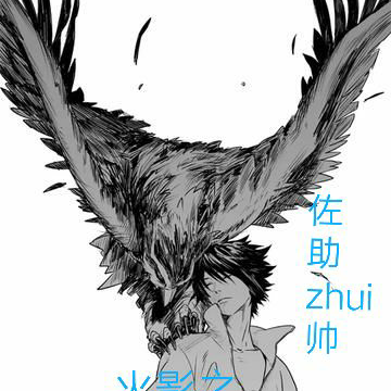 火影之鹰与夏风