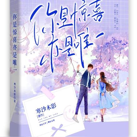 你是惊喜亦是唯一