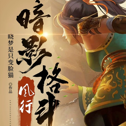 暗影格斗：风行