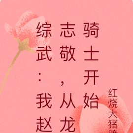 综武:我赵志敬,从龙骑士开始