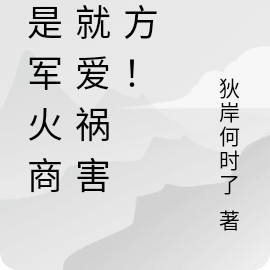 我是军火商,就爱祸害四方!