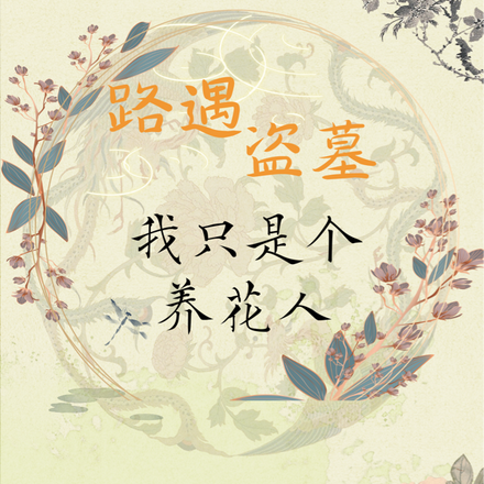 路遇盗墓：我只是个养花人