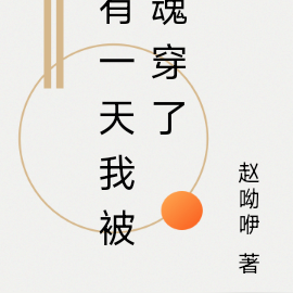 有一天我被魂穿了
