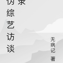 伪综艺访谈录