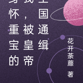 身怀重宝的我，被皇帝全国通缉