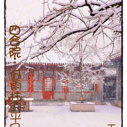 四合院:何雨柱的平凡一生