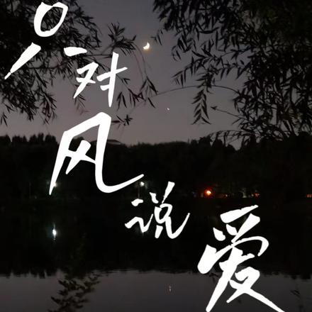 只对风说爱你