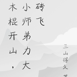 木棍开山，小师弟力大砖飞