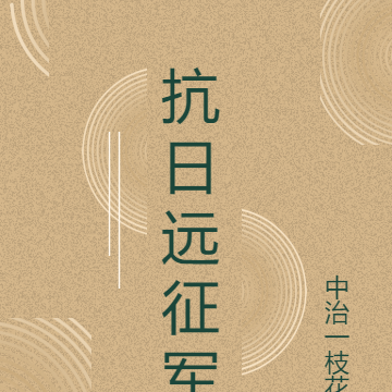 重生之滇缅抗日