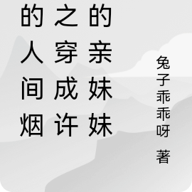 我的人间烟火之穿成许沁的亲妹妹
