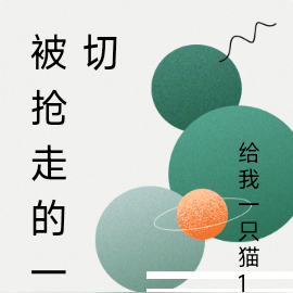 被抢走的一切