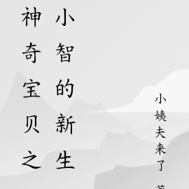 神奇宝贝之小智的新生