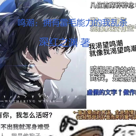 鸣潮:拥有雷毛能力的我乱杀