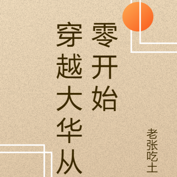 穿越大华从零开始