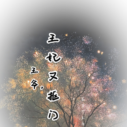 王爷,王妃又抠门了