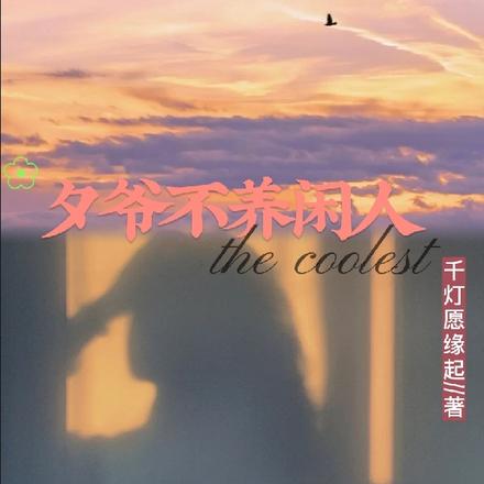 夕爷不养闲人