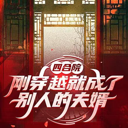 四合院:刚穿越就成了别人的夫婿