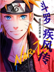 斗罗:疾风传