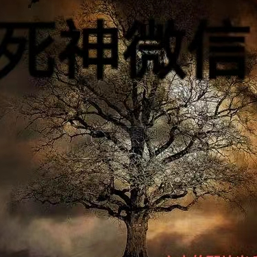 死神微信