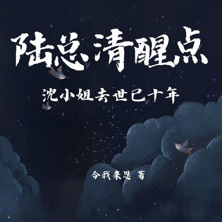 陆总清醒点，沈小姐去世已十年！