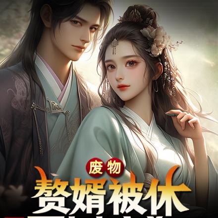 废物赘婿被休,诸天圣女疯狂了
