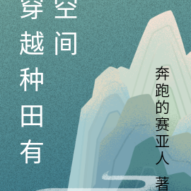 穿越种田有空间